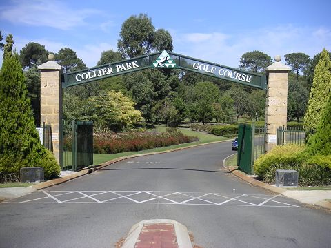 Collier Park G.Cの写真 6